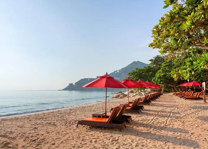 4-Sterne-Hotel: New Star Beach Resort